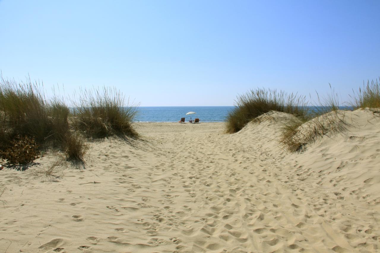 Camping Playa Taray Islantilla Ngoại thất bức ảnh